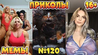 16 МИНУТ СМЕХА ДО СЛЁЗ | ЛУЧШИЕ ПРИКОЛЫ | ВЗРОСЛЫЙ ЮМОР l TikTok УГАР l #120