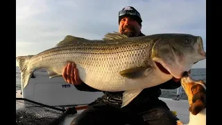 92 Pound Striper: Caught, Certified & Released! No. 101