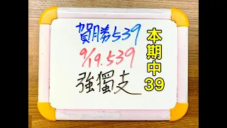 ★本期中39★【今彩539】9月19日(二)強獨支 #539 號碼