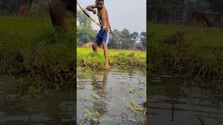 😲Unbelievable Bamboo Arrow Bow Fishing Technique(Part-9) #shortsfeed #shorts