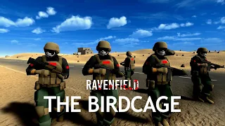 The Birdcage - Ravenfield Vanilla+ Lore Video