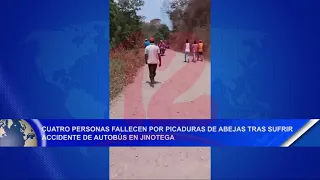 #Noticias12Nicaragua 4 personas fallecen por picaduras de abejas tras sufrir accidente de autobús