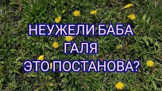 НЕУЖЕЛИ БАБА ГАЛЯ ЭТО ПОСТАНОВА? КАНАЛ ДОБРОЕ ДЕЛО? СКАЖИТЕ МНЕ ЧТО ЭТО НЕ ПРАВДА🙊🤷‍♀️