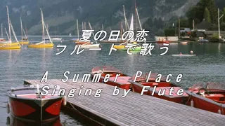 夏の日の恋 フルートで歌う A Summer Place Singing by Flute