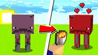 😍10 Mobs e suas Coisas FAVORITAS no MINECRAFT