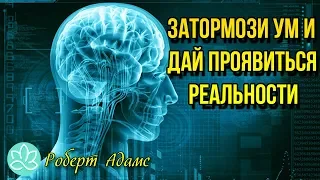 🍀Роберт Адамс~Затормози ум и дай проявиться реальности!