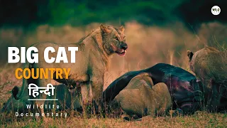 The Invasion Begins - Big Cat Country [2023] हिन्दी डॉक्यूमेंट्री | Wildlife documentary in Hindi