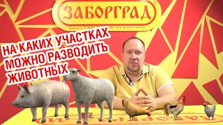 На каких участках можно разводить животных