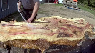 Big Gnarly Boxelder Slabs