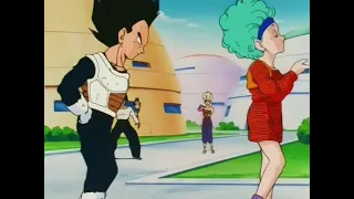 Vegeta and Bulma Super  psycho love