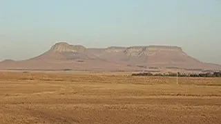 South African Veld - 1