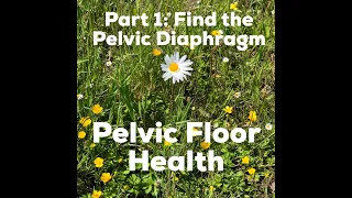 Pelvic Floor Heath Part 1 - Find It!