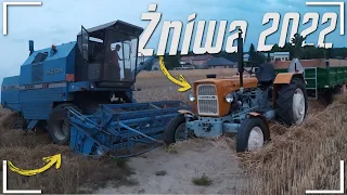 🌾NOCNE KOSZENIE PSZENŻYTA ŻNIWA 2022🌾