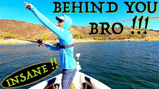 HUGE STRIPER BOIL FOOTAGE!! -- WHO IS HUNTING WHO ?!?! --Castaic Lake Fishing