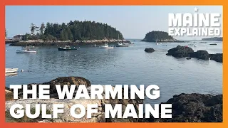 Why is the Gulf of Maine warming so fast? | Maine Explained