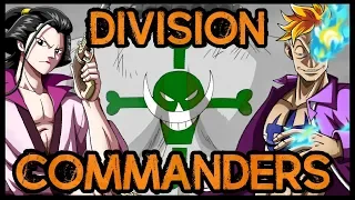 All Whitebeard Division Commanders - One Piece Discussion | Tekking101