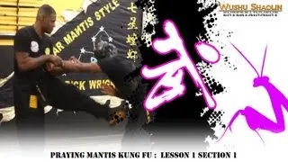 Praying Mantis Kung Fu Tutorial Beng Bu 崩步  : Lesson 1 Section 1