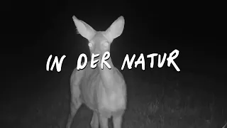 Deichkind - In Der Natur (Official Audio)