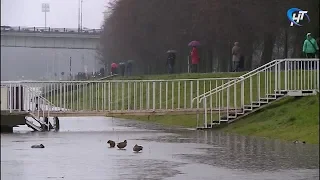 Уровень воды в озере Ильмень и реке Волхов продолжает расти