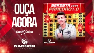 NADSON O FERINHA SERESTA PRA PAREDAO 1.0