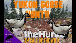 Goose Hunting In The Yukon Valley I The Hunter Call of The Wild