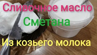 Как сделать сливочное масло, сметану, творог из козьего молока