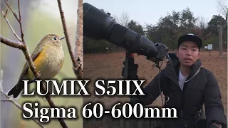 LUMIX S5IIX / Sigma60-600mm DG DN SPORTS で撮る野鳥撮影