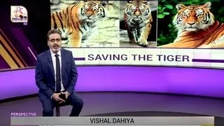 Perspective: Saving The Tiger | 06 January, 2022