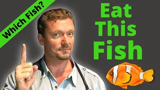 #1 Healthy FISH You Should Eat (Low Mercury!)