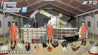 Buying CHICKENS for the new CHICKEN COOP | Animals on Gelderland | Farming Simulator 22 | Episode 72