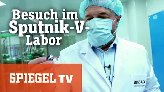 Exklusiver Besuch im "Sputnik-V"-Labor: Der Impfstoff aus Putins Reich | SPIEGEL TV