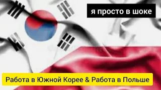 Работа в Польше | Работа в Корее |Жизнь в Южной Корее
