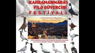 2019 Kahramanmaraş Güvercin  Festivali