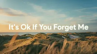 Astrid S - It’s OK If You Forget Me (Lyrics & terjemahan)