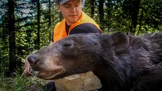 Running after a WOUNDED Bear! | Montana Public Land Bear Hunt '19 (Day 6)