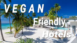 The Best Vegan Friendly Hotels Around the World