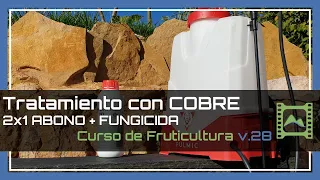 Cómo ABONAR frutales 💩🌱 con COBRE en invierno ❄ Curso básico de FRUTICULTURA 2020: Capítulo 28 | LdN