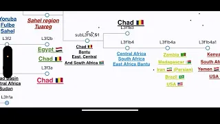 The African Maternal Haplogroup L3 Lineage (L3a,b,c,d,e,f,h,i,j,k,x) East Africa