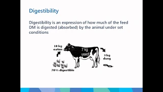 Understanding drought fodder quality