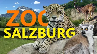 Zoo Salzburg Hellbrunn | Zoo-Eindruck