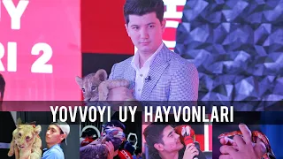 YOVVOYI UY HAYVONLARI - 2 // AMIRXON UMAROV SHOUSI // OCHIQCHASIGA GAPLASHAMIZ // 132-SON