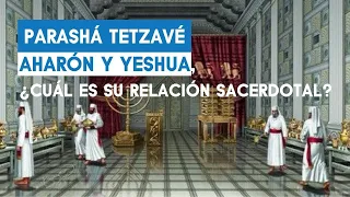 Parashá Tetzavé - Yeshua, Aron y su Sacerdocio - Parte 1 | Rab Dan ben Avraham |