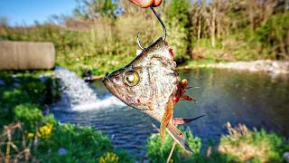 Using GIANT BAITS For SPILLWAY MONSTERS!!! (Multiple Big Fish)