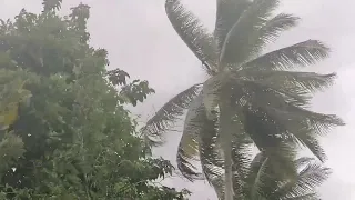 Weather update typhoon Betty|Elsie H
