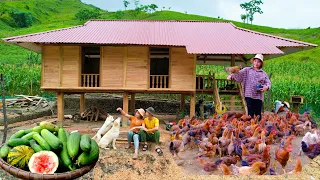 Full video 2 years of building a new life | Build a spacious wooden house, raise 300 more chickens