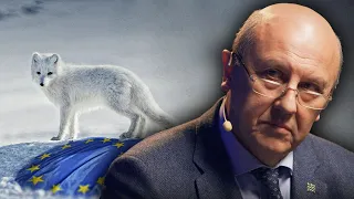 Андрей Фурсов: Конец Германии Что стало с европейской мечтой