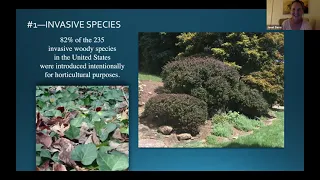 "How, Which, Where and Why to Add Native Plants", Janet Davis -March 9, 2021