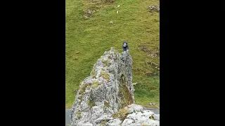 Would you Climb this Sketchy Grade 3 Ridge? 😱😬- Elbow Ridge Peak District