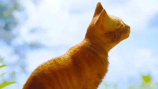 Новый Симулятор КОТЕНКА #5 Stray Финал про Рыжего Котика с Кидом на Пурумчата