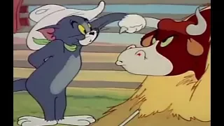 Tom and Jerry English Episodes - Texas Tom - Cartoons For Kids